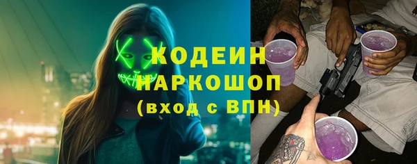 гашик Арсеньев