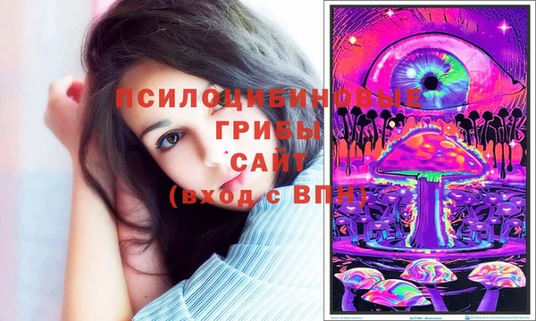 jwh Аркадак