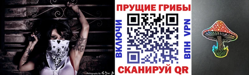 Галлюциногенные грибы Psilocybe  цена   Аткарск 